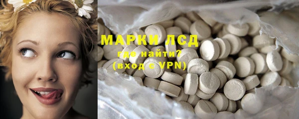 шишки Осташков