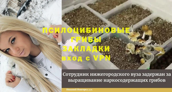 метадон Алексеевка