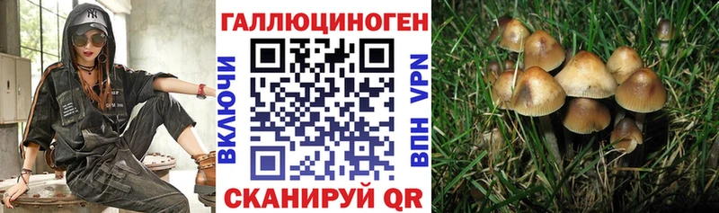 Галлюциногенные грибы Psilocybe  где продают   Лихославль 